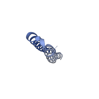 10524_6tmk_O1_v1-1
Cryo-EM structure of Toxoplasma gondii mitochondrial ATP synthase dimer, composite model