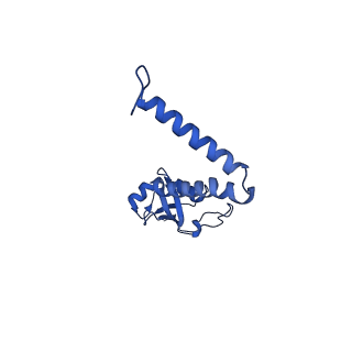 10524_6tmk_O_v1-1
Cryo-EM structure of Toxoplasma gondii mitochondrial ATP synthase dimer, composite model