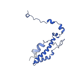 10524_6tmk_Q_v1-1
Cryo-EM structure of Toxoplasma gondii mitochondrial ATP synthase dimer, composite model