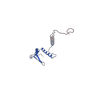 10524_6tmk_R_v1-1
Cryo-EM structure of Toxoplasma gondii mitochondrial ATP synthase dimer, composite model