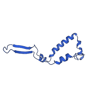 10524_6tmk_T_v1-1
Cryo-EM structure of Toxoplasma gondii mitochondrial ATP synthase dimer, composite model