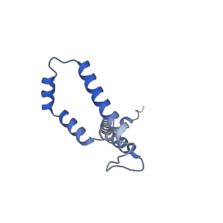 10524_6tmk_V_v1-1
Cryo-EM structure of Toxoplasma gondii mitochondrial ATP synthase dimer, composite model