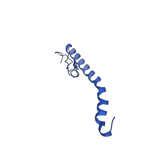 10524_6tmk_X_v1-1
Cryo-EM structure of Toxoplasma gondii mitochondrial ATP synthase dimer, composite model