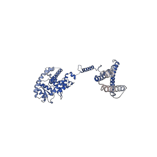 10524_6tmk_a_v1-1
Cryo-EM structure of Toxoplasma gondii mitochondrial ATP synthase dimer, composite model