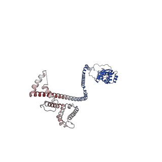 10524_6tmk_b_v1-1
Cryo-EM structure of Toxoplasma gondii mitochondrial ATP synthase dimer, composite model