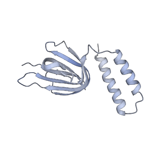 10524_6tmk_d1_v1-1
Cryo-EM structure of Toxoplasma gondii mitochondrial ATP synthase dimer, composite model