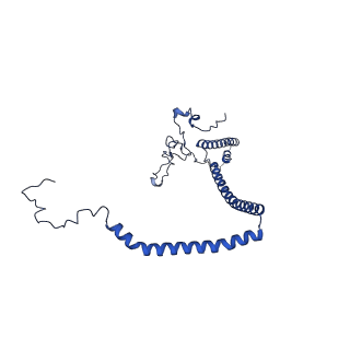 10524_6tmk_d_v1-1
Cryo-EM structure of Toxoplasma gondii mitochondrial ATP synthase dimer, composite model