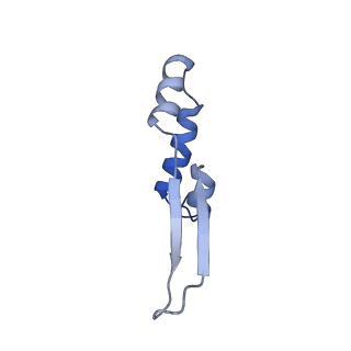 10524_6tmk_e1_v1-1
Cryo-EM structure of Toxoplasma gondii mitochondrial ATP synthase dimer, composite model