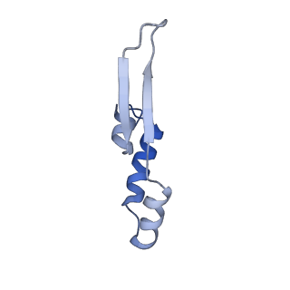 10524_6tmk_e2_v1-1
Cryo-EM structure of Toxoplasma gondii mitochondrial ATP synthase dimer, composite model