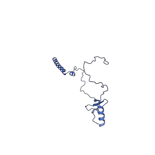 10524_6tmk_e_v1-1
Cryo-EM structure of Toxoplasma gondii mitochondrial ATP synthase dimer, composite model