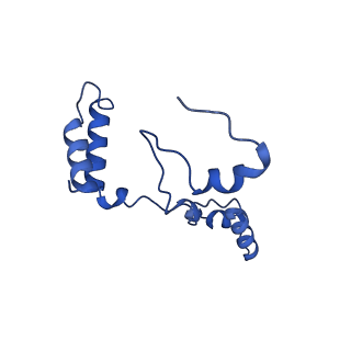 10524_6tmk_g_v1-1
Cryo-EM structure of Toxoplasma gondii mitochondrial ATP synthase dimer, composite model