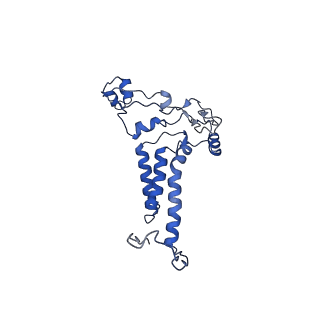 10524_6tmk_h_v1-1
Cryo-EM structure of Toxoplasma gondii mitochondrial ATP synthase dimer, composite model