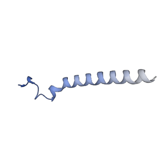 10524_6tmk_i2_v1-1
Cryo-EM structure of Toxoplasma gondii mitochondrial ATP synthase dimer, composite model
