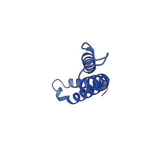 10524_6tmk_i_v1-1
Cryo-EM structure of Toxoplasma gondii mitochondrial ATP synthase dimer, composite model
