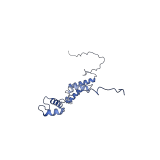 10524_6tmk_j_v1-1
Cryo-EM structure of Toxoplasma gondii mitochondrial ATP synthase dimer, composite model