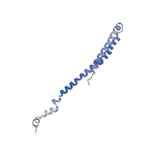 10524_6tmk_k_v1-1
Cryo-EM structure of Toxoplasma gondii mitochondrial ATP synthase dimer, composite model