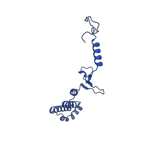 10524_6tmk_n_v1-1
Cryo-EM structure of Toxoplasma gondii mitochondrial ATP synthase dimer, composite model