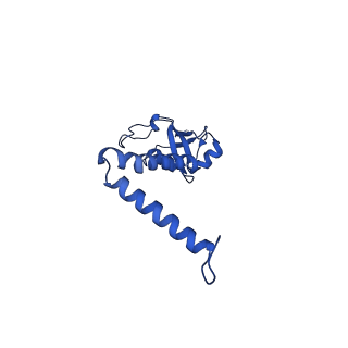 10524_6tmk_o_v1-1
Cryo-EM structure of Toxoplasma gondii mitochondrial ATP synthase dimer, composite model