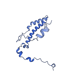 10524_6tmk_q_v1-1
Cryo-EM structure of Toxoplasma gondii mitochondrial ATP synthase dimer, composite model