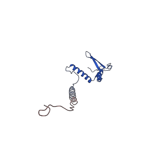 10524_6tmk_r_v1-1
Cryo-EM structure of Toxoplasma gondii mitochondrial ATP synthase dimer, composite model