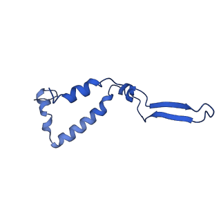 10524_6tmk_t_v1-1
Cryo-EM structure of Toxoplasma gondii mitochondrial ATP synthase dimer, composite model