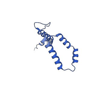10524_6tmk_v_v1-1
Cryo-EM structure of Toxoplasma gondii mitochondrial ATP synthase dimer, composite model