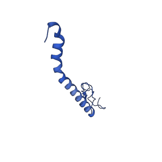 10524_6tmk_x_v1-1
Cryo-EM structure of Toxoplasma gondii mitochondrial ATP synthase dimer, composite model
