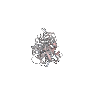 10525_6tml_A1_v1-1
Cryo-EM structure of Toxoplasma gondii mitochondrial ATP synthase hexamer, composite model