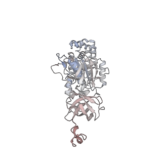 10525_6tml_A2_v1-1
Cryo-EM structure of Toxoplasma gondii mitochondrial ATP synthase hexamer, composite model