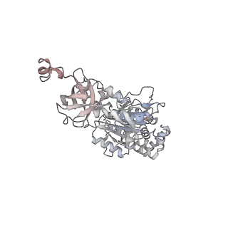 10525_6tml_A4_v1-1
Cryo-EM structure of Toxoplasma gondii mitochondrial ATP synthase hexamer, composite model