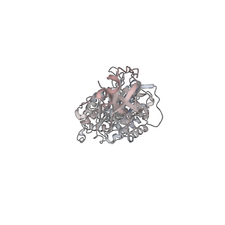 10525_6tml_A5_v1-1
Cryo-EM structure of Toxoplasma gondii mitochondrial ATP synthase hexamer, composite model