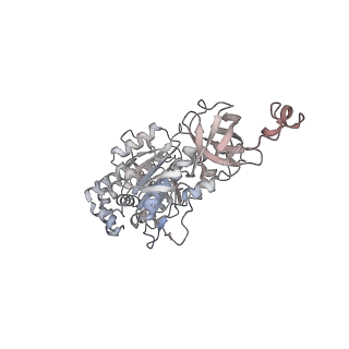 10525_6tml_A6_v1-1
Cryo-EM structure of Toxoplasma gondii mitochondrial ATP synthase hexamer, composite model