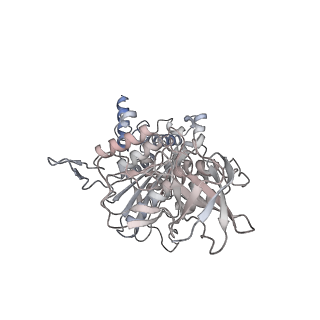 10525_6tml_B1_v1-1
Cryo-EM structure of Toxoplasma gondii mitochondrial ATP synthase hexamer, composite model