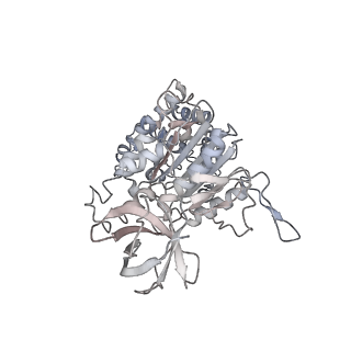 10525_6tml_B2_v1-1
Cryo-EM structure of Toxoplasma gondii mitochondrial ATP synthase hexamer, composite model