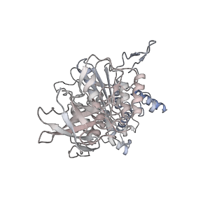 10525_6tml_B3_v1-1
Cryo-EM structure of Toxoplasma gondii mitochondrial ATP synthase hexamer, composite model