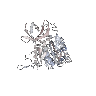 10525_6tml_B4_v1-1
Cryo-EM structure of Toxoplasma gondii mitochondrial ATP synthase hexamer, composite model