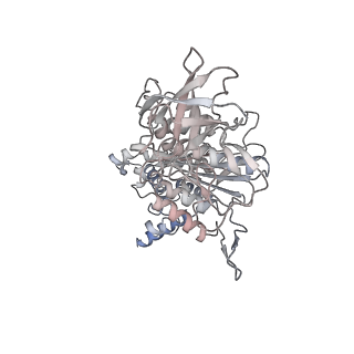 10525_6tml_B5_v1-1
Cryo-EM structure of Toxoplasma gondii mitochondrial ATP synthase hexamer, composite model