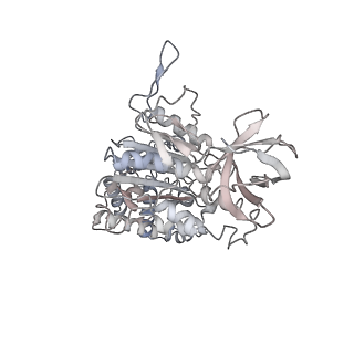 10525_6tml_B6_v1-1
Cryo-EM structure of Toxoplasma gondii mitochondrial ATP synthase hexamer, composite model