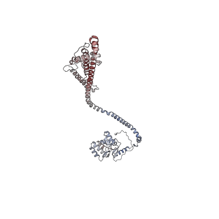 10525_6tml_B8_v1-1
Cryo-EM structure of Toxoplasma gondii mitochondrial ATP synthase hexamer, composite model