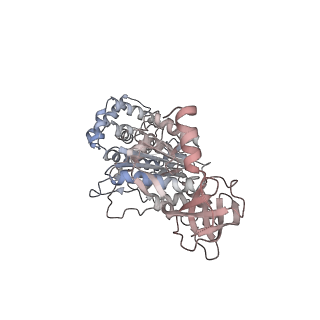 10525_6tml_C1_v1-1
Cryo-EM structure of Toxoplasma gondii mitochondrial ATP synthase hexamer, composite model