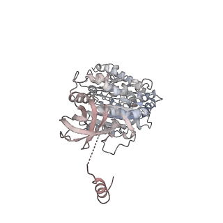 10525_6tml_C2_v1-1
Cryo-EM structure of Toxoplasma gondii mitochondrial ATP synthase hexamer, composite model