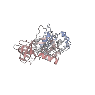 10525_6tml_C3_v1-1
Cryo-EM structure of Toxoplasma gondii mitochondrial ATP synthase hexamer, composite model