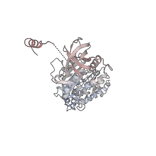 10525_6tml_C4_v1-1
Cryo-EM structure of Toxoplasma gondii mitochondrial ATP synthase hexamer, composite model