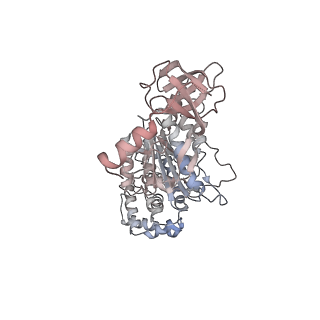 10525_6tml_C5_v1-1
Cryo-EM structure of Toxoplasma gondii mitochondrial ATP synthase hexamer, composite model
