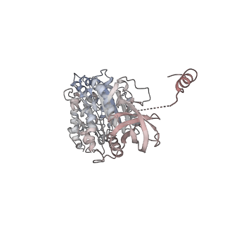 10525_6tml_C6_v1-1
Cryo-EM structure of Toxoplasma gondii mitochondrial ATP synthase hexamer, composite model