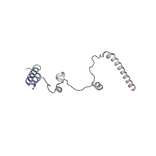 10525_6tml_C7_v1-1
Cryo-EM structure of Toxoplasma gondii mitochondrial ATP synthase hexamer, composite model