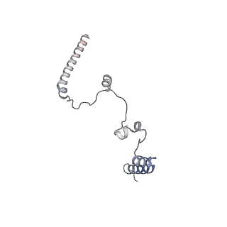 10525_6tml_C9_v1-1
Cryo-EM structure of Toxoplasma gondii mitochondrial ATP synthase hexamer, composite model