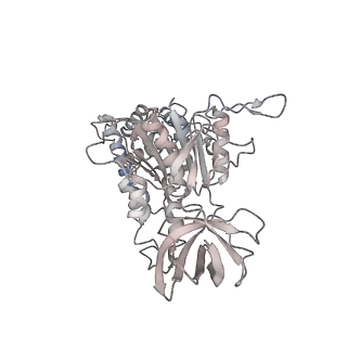 10525_6tml_D1_v1-1
Cryo-EM structure of Toxoplasma gondii mitochondrial ATP synthase hexamer, composite model