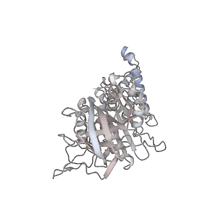 10525_6tml_D2_v1-1
Cryo-EM structure of Toxoplasma gondii mitochondrial ATP synthase hexamer, composite model