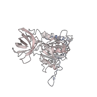 10525_6tml_D3_v1-1
Cryo-EM structure of Toxoplasma gondii mitochondrial ATP synthase hexamer, composite model